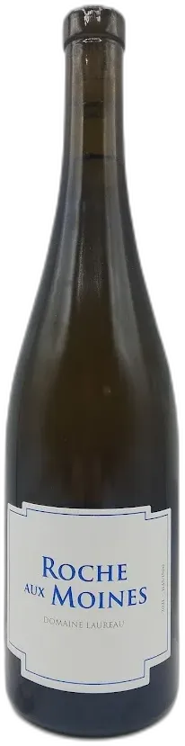 vue du vin Savennieres Domaine Damien Laureau la Roche Aux Moines