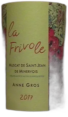 vue du vin Saint Jean de Minervois Anne Gros la Frivole Demie