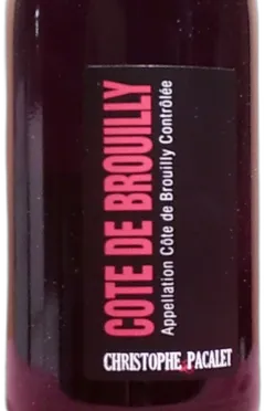 vue du vin Cotes de Brouilly Domaine Christophe Pacalet