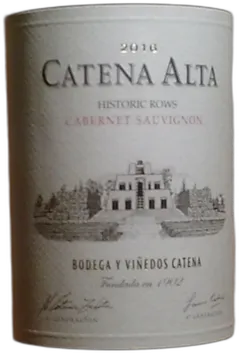 capture du vin Argentine Catena Zapata Alta Cabernet Sauvignon Mendoza 2016