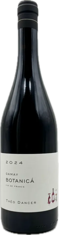 vue du vin Théo Dancer Botanica Gamay Vin Bourgogne