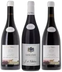 aperçu du vin Sancerre Rouge 2022 Domaine J. de Villebois