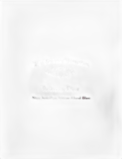 illustration du vin le Petit Cheval Blanc 2019 Bordeaux Blanc