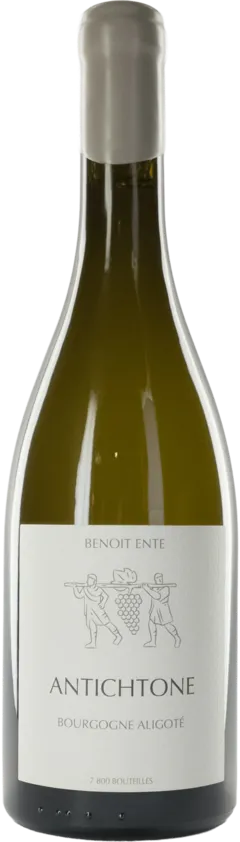 image du vin Domaine Benoit Ente Bourgogne Aligoté Antichtone 2020 Bourgogne Aligoté
