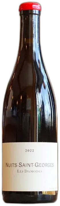 vue du vin Nuits-Saint-Georges "les Damodes" Frédéric Cossard