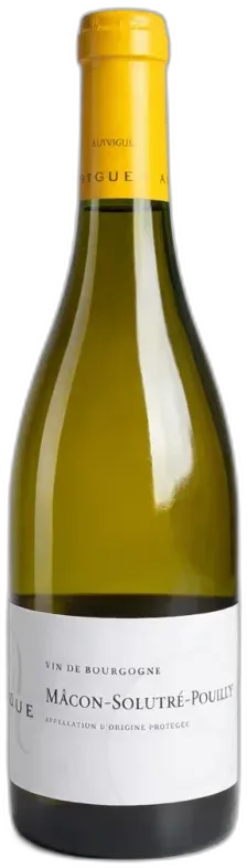 photo du vin Mâcon-Solutré-Pouilly Auvigue Vin Blanc Bourgogne