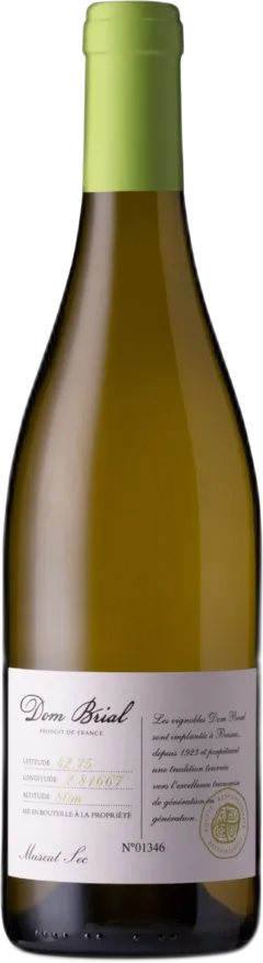 vue du vin Dom Brial Côtes Catalanes Muscat Sec 2024
