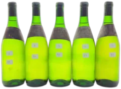 illustration du vin Clos de la Néore Anne Vatan 1989