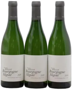 illustration du vin Bourgogne Aligoté Roulot 2020