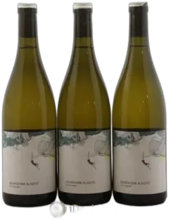 photo du vin Bourgogne Aligoté en Coulezain les Horées 2023