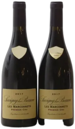 vue du vin les Marconnets