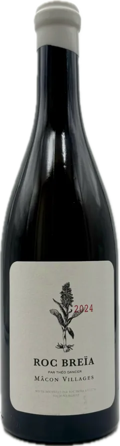 vue du vin Théo Dancer Roc Breia Chardonnay Vin Bourgogne