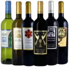 capture du vin Leognan