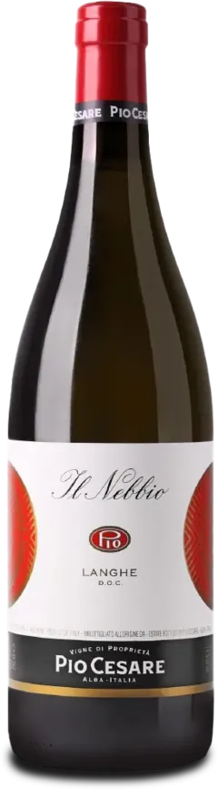 capture du vin Langhe Doc il Nebbio Pio Cesare 2024