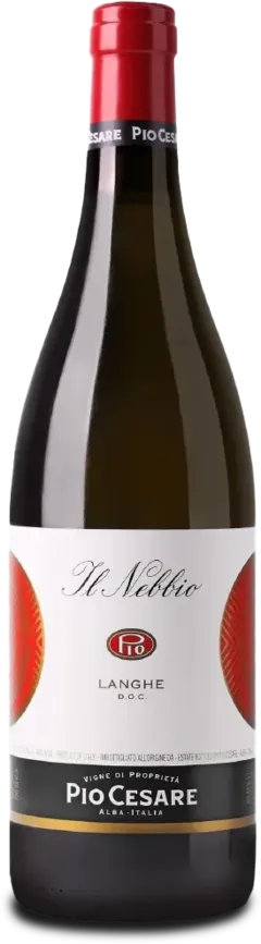 capture du vin Langhe Doc il Nebbio Pio Cesare 2024