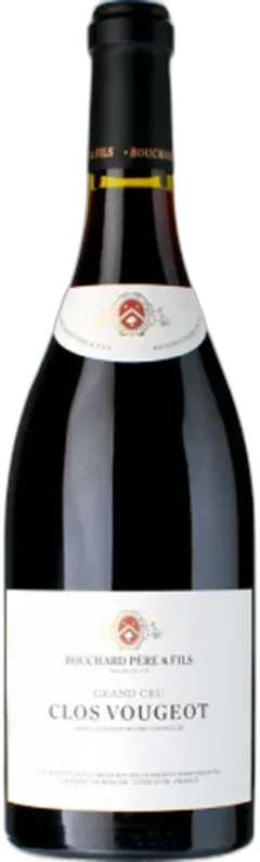 vue du vin Clos Vougeot Grand Cru Bouchard Pere & Fils