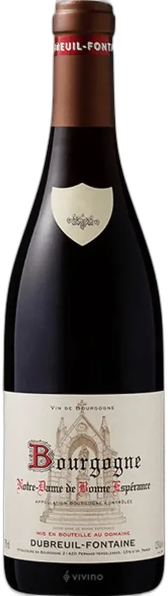 image du vin Bourgogne Notre Dame de Bonne Esperance Magnum Domaine Dubreuil Fontaine