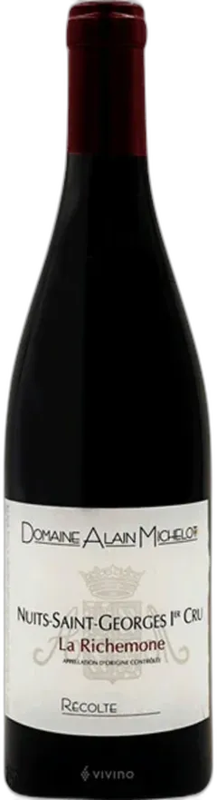 vue du vin Nuits-Saint-Georges Premier Cru la Richemone Domaine Alain Michelot