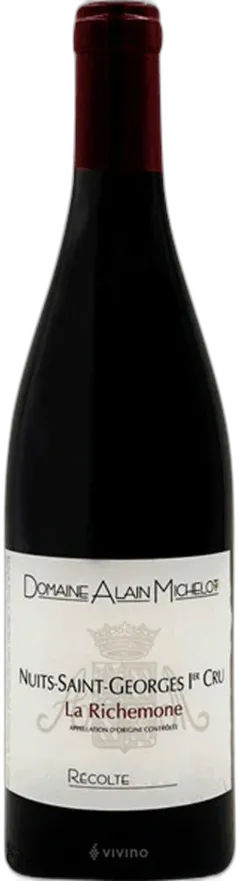 vue du vin Nuits-Saint-Georges Premier Cru la Richemone Domaine Alain Michelot