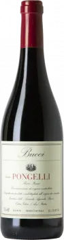 photo du vin Bucci Pongelli Rosso Piceno