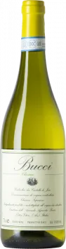 illustration du vin Bucci Verdicchio Castelli di Jesi Classico Superiore