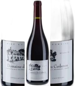 aperçu du vin Volnay Clos des Chênes 1er Cru 2020 Dom. du Cerberon