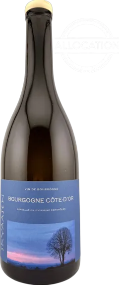 photo du vin Bourgogne Côte d’or "Chardonnay"