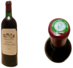 image du vin Château les Ormes de Pez 1989