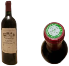 photos du vin Château les Ormes de Pez 1990