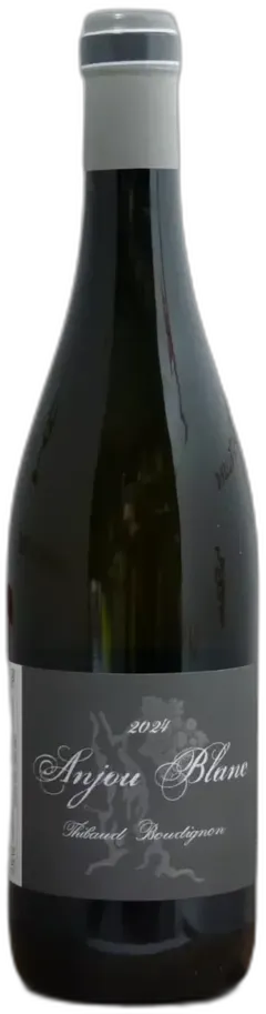 vue du vin Anjou Blanc Thibaud Boudignon 2024