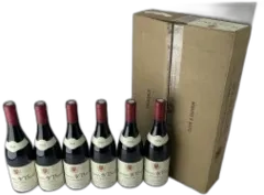 image du vin Hudelot Noellat Romanee Saint Vivant 2020