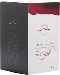 vue du vin Bib Merlot Rouge le Cellier du Pic
