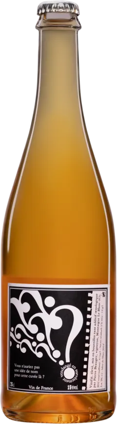 image du vin Domaine Pierre Beauger Vin de France "Vous n"Auriez Pas Une Idée de Nom Pour Cette Cuvée là pg" Blanc 2011