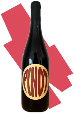illustration du vin Pinot Noir- Yan et Stéphanie à Orée d’Anjou
