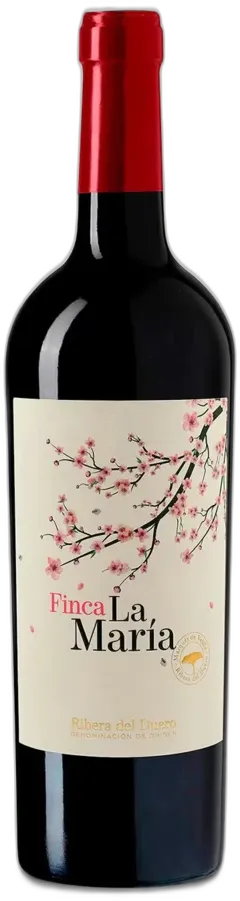 image du vin Finca la María