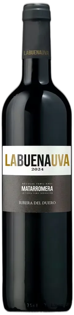 vue du vin Matarromera Crianza