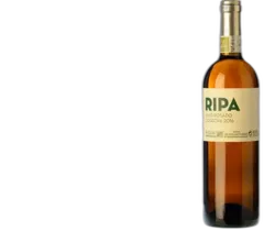 photo du vin Ripa Rosado