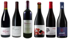 photo du vin Nec Plus Ultra en Beaujolais