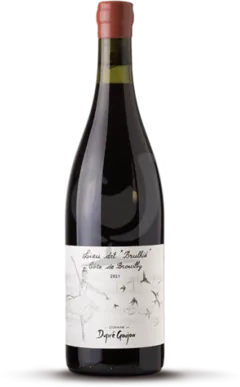 vue du vin Côte de Brouilly "Lieu Dit Brulhié"
