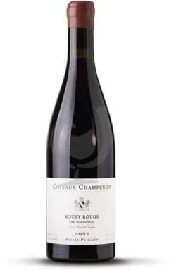 image du vin Coteaux Champenois les Mignottes