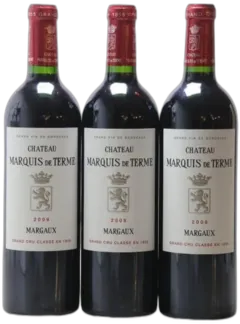 vue du vin Château Marquis de Terme 4ème Grand Cru Classé 2009