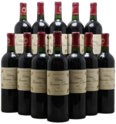 vue du vin Château Branaire Ducru 4ème Grand Cru Classé 2010