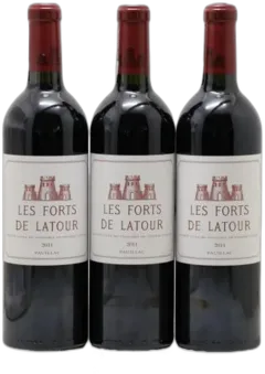 illustration du vin les Forts de Latour Second Vin 2011