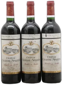 photos du vin Château Chasse Spleen 2001