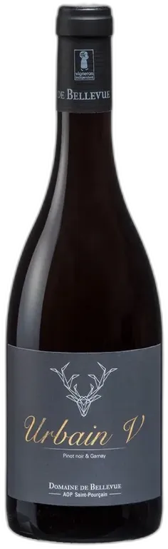 photo du vin Aop Saint Pourcain Rouge Roches Grises Domaine Bellevue