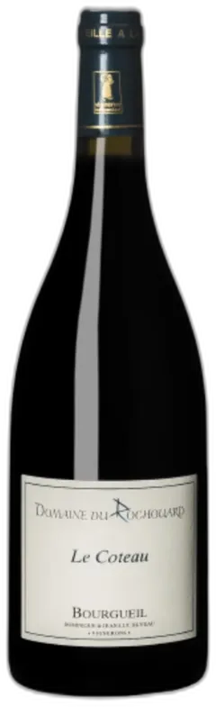 photo du vin Bourgueil Bio les Coteaux Aop Rouge Domaine du Rochouard