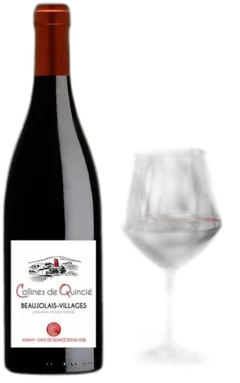 aperçu du vin Collines de Quincié 2023 Rouge Aop Beaujolais Villages Agamy