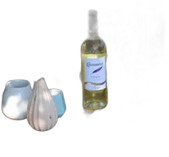 photo du vin Colombelle Sélection 2024 Blanc Igp Côtes de Gascogne Plaimont