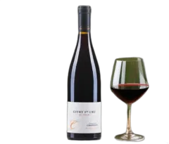 photos du vin en Choué 2022 Rouge Givry 1er Cru Domaine Chofflet