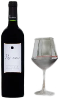 photo du vin 2024 Rouge Igp Alpilles Château Romanin